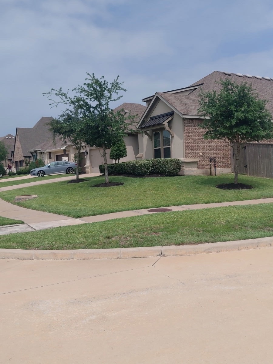 Tidy front yard with trimmed beds