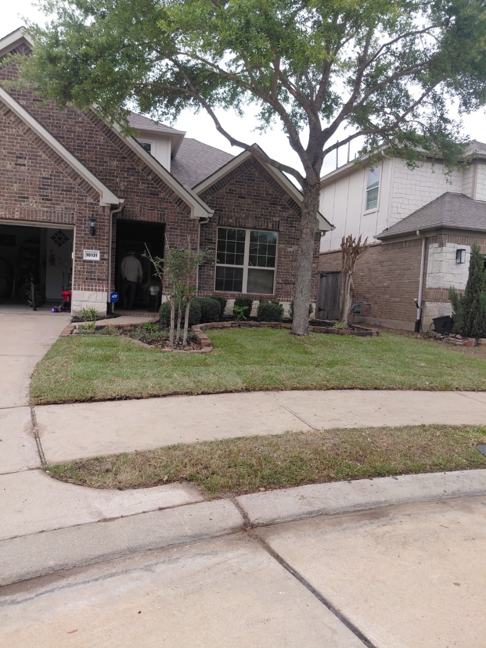 Freshly edged lawn